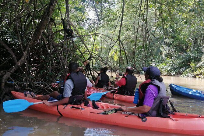 2-Hour Kayak Tour in Quepos - FAQ