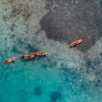 2 Hour Mangrove Kayak and Snorkel Tour - Authenticity and Education: What Sets This Tour Apart