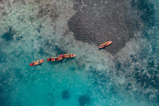 2 Hour Mangrove Kayak and Snorkel Tour