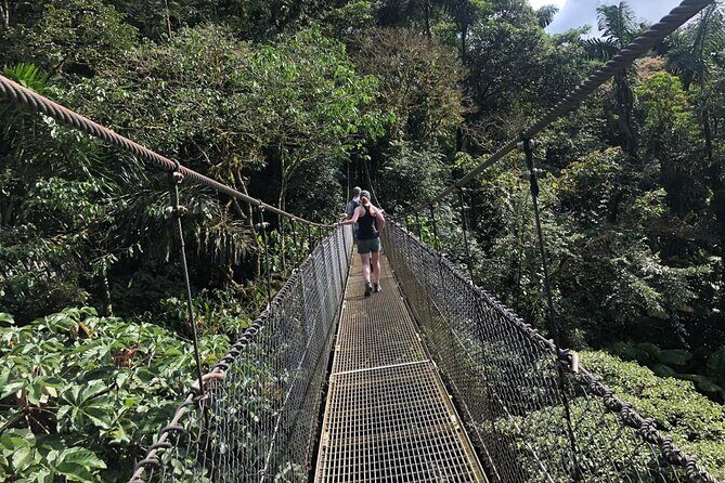 2-Hour Private Místico Hanging Bridges Naturalist Walk - Why This Tour Offers Great Value
