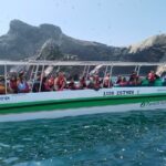 2-Hour Tour to the Ballestas Islands from Puerto San Martín - The Sum Up: Who Should Consider This Tour?