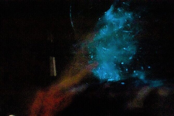 2-Hours Bioluminescence Tour by Kayak in Paquera - An In-Depth Look at the 2-Hour Bioluminescence Kayak Tour in Paquera