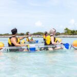 2 Hours Clear Kayaking Activity on Mangrove Cay - Why This Tour Is Worth the Price