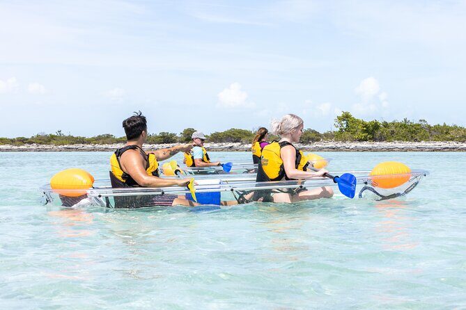 2 Hours Clear Kayaking Activity on Mangrove Cay - Why This Tour Is Worth the Price