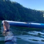 2 Hours Paddle Board Experience in Chaguaramas. Snorkeling also. - The Details of Your Paddle Board Adventure