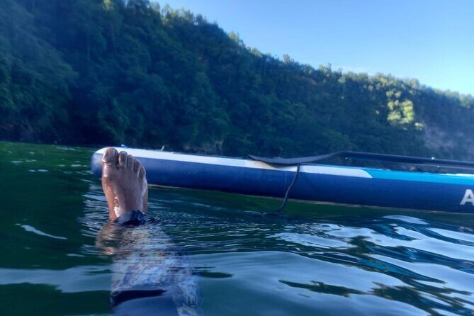 2 Hours Paddle Board Experience in Chaguaramas. Snorkeling also. - The Details of Your Paddle Board Adventure
