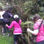 2 Hours Small-Group Horseback Riding Experience in Banos - What to Bring & Tips for a Smooth Ride