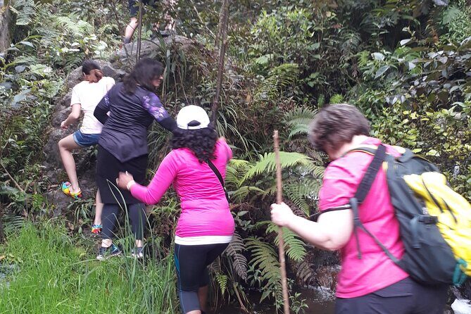 2 Hours Small-Group Horseback Riding Experience in Banos - What to Bring & Tips for a Smooth Ride