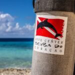 2 Tank Guided Dive half-day - What’s Included and What to Consider