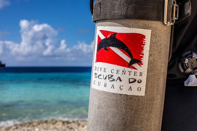 2 Tank Guided Dive half-day - What’s Included and What to Consider