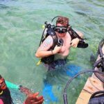 2 Tank Roatan Fun Dive, Boat Sightseeing Tour, including ground transportation - An In-Depth Look at the Roatan 2 Tank Dive Tour