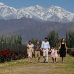 2 Wineries and 1 Distillery Full Day Tour with Lunch in Mendoza - Practical Details: What You Need to Know
