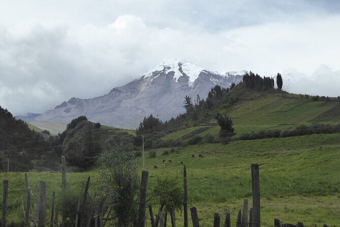 21 day Ecuador tour in Andean jungle and cloud forest - Practical Considerations