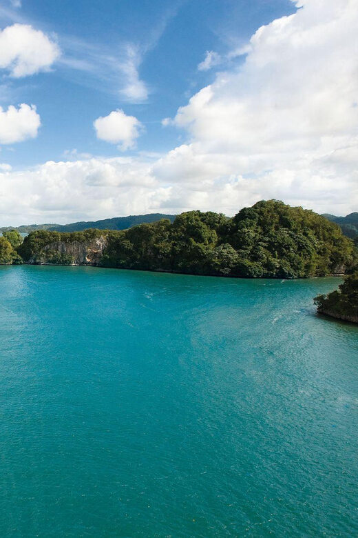 2in1: Los Haitises National Park + Yanigua Waterfall-SPA - The Practical Side: What to Know