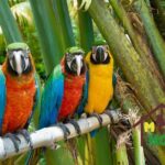 2x1: City Tour & Monkey Encounter tour combo Puerto plata - Who Will Love This Tour?