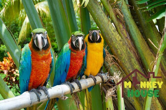 2x1: City Tour & Monkey Encounter tour combo Puerto plata - Who Will Love This Tour?