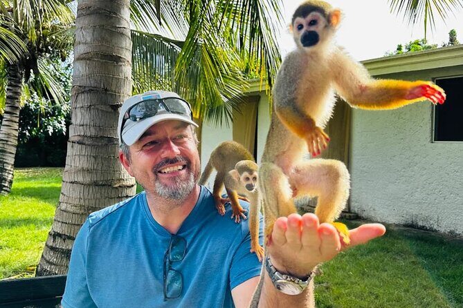 2X1: MonkeyLand plus horseback riding beach in Puerto Plata - The highlight: Monkey Jungle and animal interactions