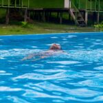 3-Day All Inclusive Guided Jungle Tour from Iquitos - Pricing and Value