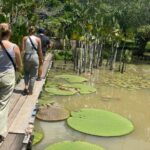 3 Day All-Inclusive Guided Jungle Tour from Iquitos - An In-Depth Look at the 3-Day Amazon Jungle Tour