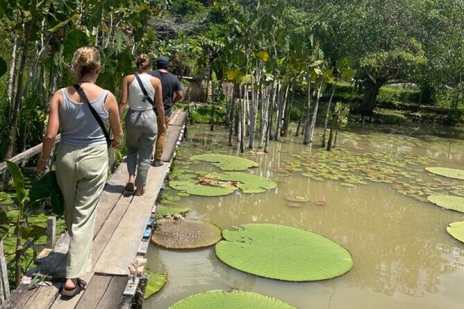 3 Day All-Inclusive Guided Jungle Tour from Iquitos - An In-Depth Look at the 3-Day Amazon Jungle Tour