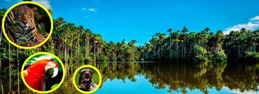 3-Day Amazon Rainforest Adventure - What Travelers Say