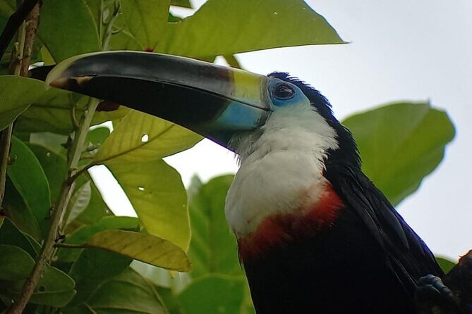 3-Day Eco-Sustainable Private Tour Manu National Park - Who Will Love This Tour?