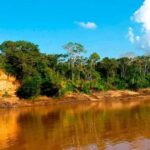 3-day excursion to the Amazon rainforest + accommodation - Day Two: Exploring Sandoval Lake and Its Wildlife