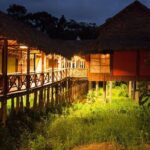 3 Day Iquitos Amazon Jungle Adventure at Heliconia Lodge - Final Thoughts