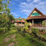 3 Day Manu Amazon Rainforest (Private Tour) - Detailed Review of the 3-Day Manu Amazon Rainforest Tour