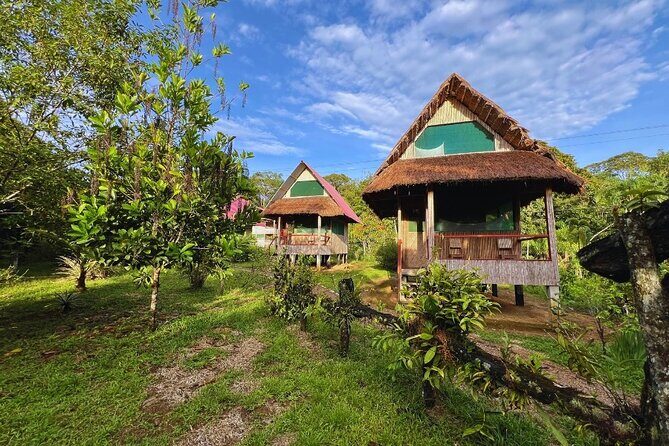 3 Day Manu Amazon Rainforest (Private Tour) - Detailed Review of the 3-Day Manu Amazon Rainforest Tour