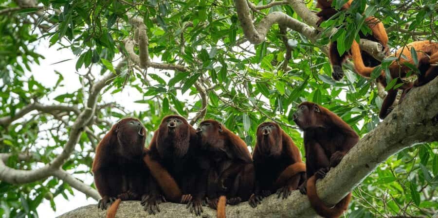 3 Day Manu Tour - What’s Included and What Not