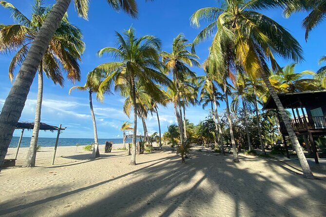 3 day private tour, crystal clear sea and islands near Cartagena - Final Thoughts