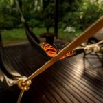 3-Day Tambopata Amazon Jungle Tour at Posada Amazonas - The Value of the Experience