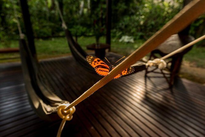 3-Day Tambopata Amazon Jungle Tour at Posada Amazonas - The Value of the Experience