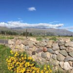 3 Day Trek Including Transfer to Puno / Colca Canyon - Authentic Insights from Travelers