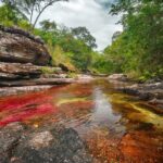 3-Day Trip to Caño Cristales from Bogota - Exploring the Itinerary in Detail