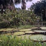 3 days 2 nights Culture and Nature of the Colombian Amazonas - Frequently Asked Questions