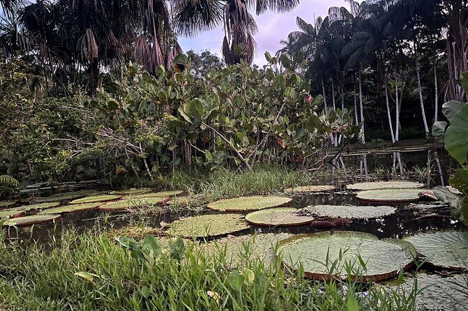 3 days 2 nights Culture and Nature of the Colombian Amazonas - Frequently Asked Questions