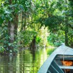 3 days 2 nights - Tambopata Jungle - Final Thoughts