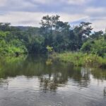 3 Days Amazon Jungle Tour in Manu Peru - The Sum Up: Who Is This Tour Best For?