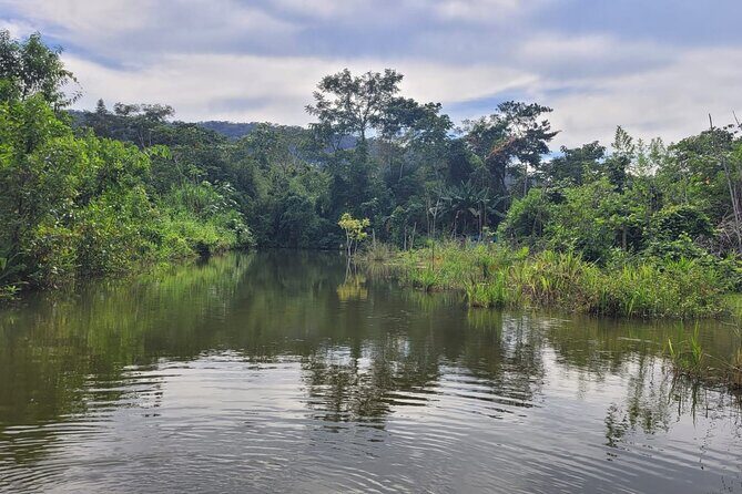 3 Days Amazon Jungle Tour in Manu Peru - The Sum Up: Who Is This Tour Best For?