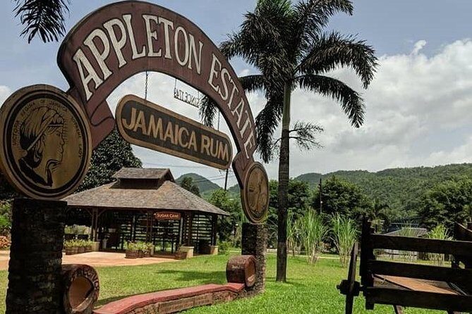 3-days Jamaica Sightseeing Tour of Treasure Beach and Negril departing from Kingston - Authentic Experiences and What Travelers Say