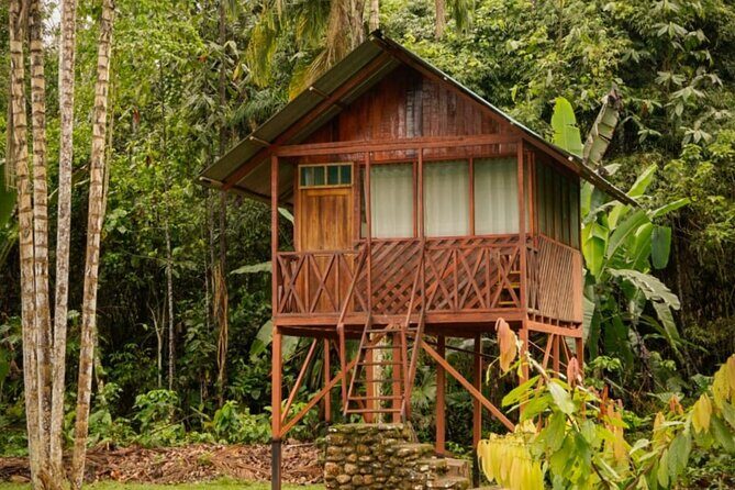 3 Days Manu Park Tour with Accommodation - Practical Details and What to Expect