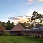 3-Days Tour in the Amazon Rainforest at Curassow Amazon Lodge - What Makes This Tour Special?