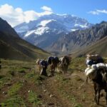 3 days trek to Plaza Francia in Aconcagua park - Why This Tour Offers Real Value
