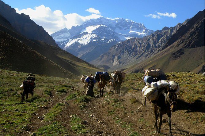 3 days trek to Plaza Francia in Aconcagua park - Why This Tour Offers Real Value