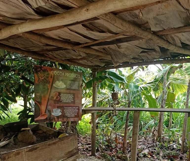 3-Hour Panoramic Tour of Punta Cana with Artisan Market - A Detailed Look at the 3-Hour Panoramic Tour: What You Can Expect