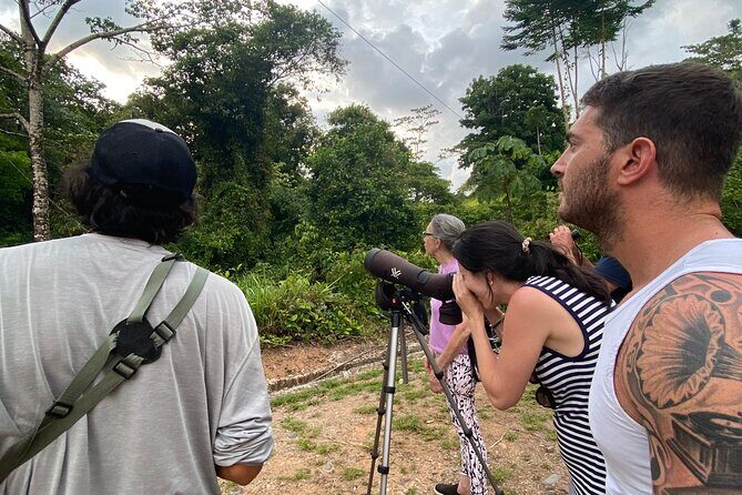3-Hour Private Birdwatching Experience in Uvita / Ojochal - The Experience in Detail: What to Expect on Your Birdwatching Tour