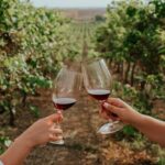 3-Hour Vineyard Wine Tour with Tasting - A Detailed Look at the 3-Hour Vineyard Experience