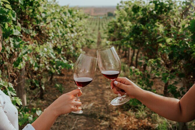 3-Hour Vineyard Wine Tour with Tasting - A Detailed Look at the 3-Hour Vineyard Experience